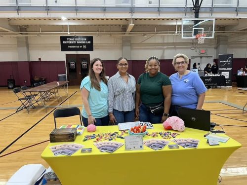 Counselor-Houston-TX-Gallery-AMHP-005