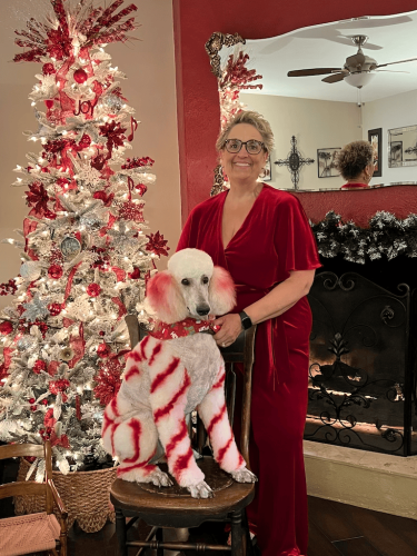 Counselor-Houston-TX-Gallery-AMHP-13