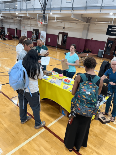 Counselor-Houston-TX-Gallery-AMHP-8