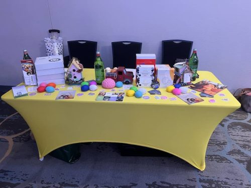 Counselor-Houston-TX-Gallery-AMHP-Booth-1-.9.25