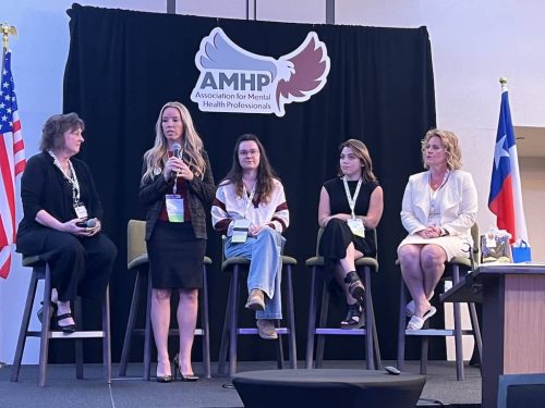 Counselor-Houston-TX-Gallery-AMHP-R.Smith-10.9.25