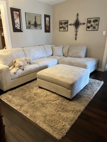 Nassau-Bay-TX-Counselor7