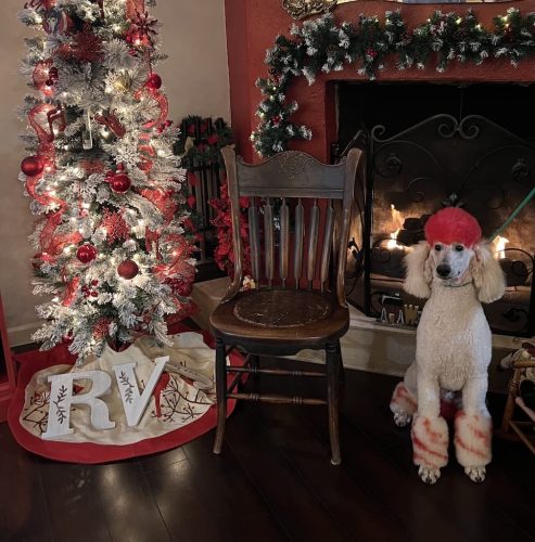 counselor-houston-tx-1-3-26-5